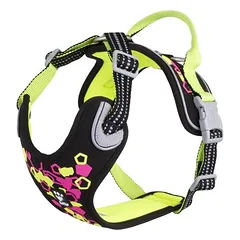 Hurtta petnešos šunims Weekend Warrior Neon Harness II licorice