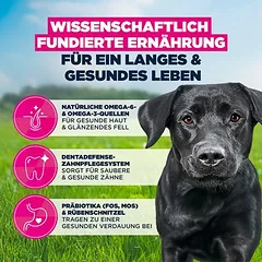 Eukanuba Premium Nutrition Adult Large & Giant Breed su vištiena, sausas maistas šunims, 15 kg — 5 nuotrauka
