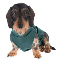 kooa pooperacinis kūno drabužis kalytėms, Mažiems 5–10 kg — 5 nuotrauka