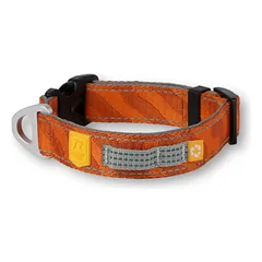 WOOLLY WOLF Terracotta Roam Collar antkaklis M, oranžinis