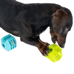 zooplus basics skanėstų kamuoliukų rinkinys iš TPR, Ø 7 cm — 4 nuotrauka