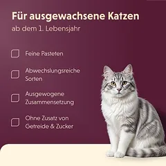 Animonda Vom Feinsten Megapack Adult, drėgnas maistas katėms 32 x 100 g — 2 nuotrauka