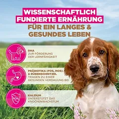 Eukanuba Grain Free Puppy Small & Medium Breed su jūrų žuvimi, sausas maistas šuniukams, 3 - 4,9 kg — 5 nuotrauka