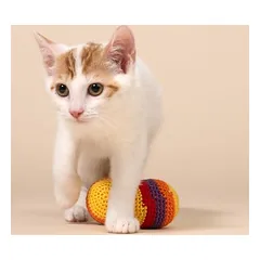 TIAKI Hacky Sacks für Katzen