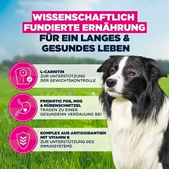 Eukanuba Premium Nutrition Senior Medium Breed su vištiena, sausas maistas šunims, > 10 kg — 5 nuotrauka