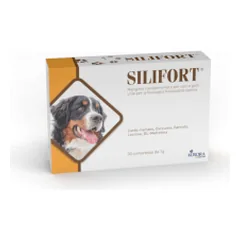 Aurora Biofarma Silifort pašaro papildas šunims ir katėms - Pet24