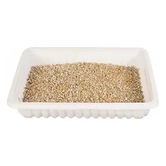 Trixie Cat Grass (bowl) 100 g — 3 nuotrauka