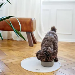 HUNTER Bowl Osby dubenėlis, keraminis, 1100 ml, rusvas — 3 nuotrauka