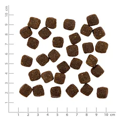 PRIMUM sausas maistas suaugusiems šunims su ėriena ir bulvėmis, 5 kg — 4 nuotrauka