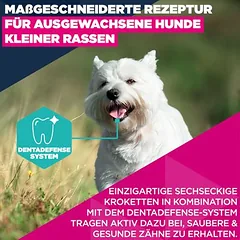 Eukanuba Premium Nutrition Adult Small Breed su vištiena, sausas maistas šunims, Sparpaket: 2 x 7,5 kg — 5 nuotrauka