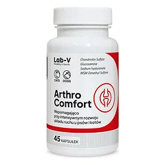 LAB-V Arthro Comfort - Visapusiška sąnarių ir raumenų bei skeleto sistemos sveikata šunims ir katėms 45 kapsulės