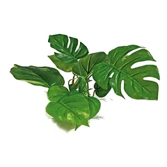 AMTRA ANUBIAS plastikinis augalas 20cm