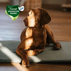 Manuly Set | Hunde Isomatte mit Teddy (olivgrün) Bezug