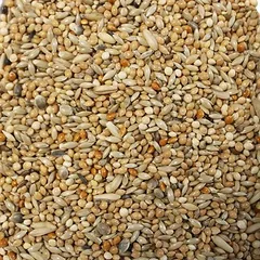 Hugro egzotinių paukščių pašaras, bazinis mišinys, 4 kg — 3 nuotrauka