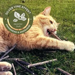 Aumüller lazdelės katėms Silver Vine — 2 nuotrauka