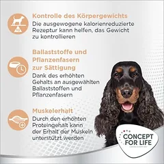 Concept for Life Medium Light — 3 nuotrauka
