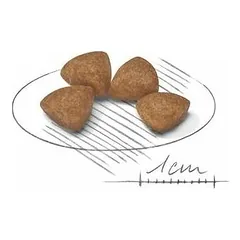 Royal Canin SHN X-Small Puppy sausas maistas šuniukams 500 g — 3 nuotrauka