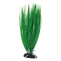 AMTRA ACORUS plastmasinis augalas didelis 23cm 1vnt parduotuvėje Petz.lt