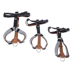 Nomad Tales Spirit petnešos šunims Multi Ring, Dideliems 26–45 kg — 5 nuotrauka