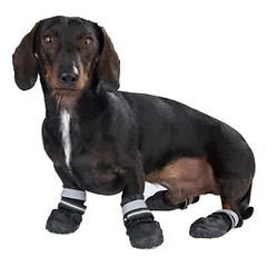 Hundeschuhe S & P Boots