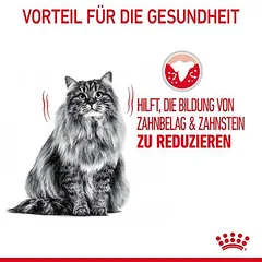 Royal Canin Dental Care sausas maistas katėms, < 1,4 kg — 4 nuotrauka