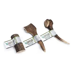 Elnio ragas šunims – Highland Antler – L dydis 151-220 g — 2 nuotrauka