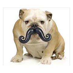 Rubber dog toy WHISKER 13 CM — 2 nuotrauka