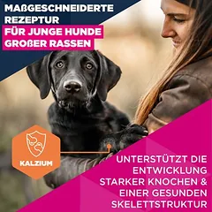 Eukanuba Premium Nutrition Junior Large & Giant Breed su vištiena, sausas maistas šunims — 3 nuotrauka