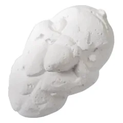 Nobleza kalcis papūgoms, 6x4 cm — 2 nuotrauka