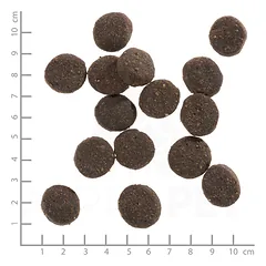 WOLFSBLUT Adult Blue Mountain sausas maistas suaugusiems šunims su elniena ir bulvėmis 12,5 kg — 4 nuotrauka