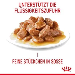 Royal Canin Hair & Skin Care drėgnas maistas, papildantis sausą maistą katėms — 2 nuotrauka