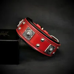 Bestia Hundehalsband Eros 5 cm breit