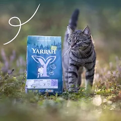 Yarrah Bio Sterilised be kviečių su ekologiška vištiena, sausas maistas katėms, 1,5 - 2,9 kg — 3 nuotrauka