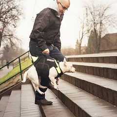 Julius - K9 daugiafunkcinė neoninė liemenė - plaukimo liemenė šunims, reabilitacijai, XL — 2 nuotrauka