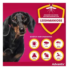 Advantix® 40 Spot-on šunims, iki 4 kg — 3 nuotrauka