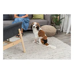 TRIXIE Apsauginės daugkartinės kelnaitės kalėms, S-M 32-39 cm, juodos (pak.2) — 5 nuotrauka