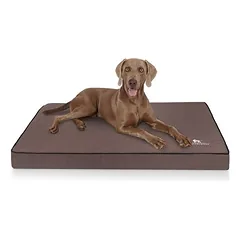 Knuffelwuff ortopedinis kilimėlis šunims Nantucket iš velūro, Vidutiniams 11–25 kg — 3 nuotrauka