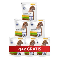 PERFECT FIT Sensitive 1+ visavertis sausas pašaras mažų veislių suaugusiems šunims, turintis daug kalakutienos, 6 x 825 g, 4+2 GRATIS.