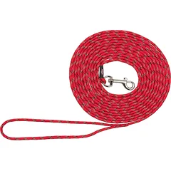 TRIXIE Junior dresavimo pavadėlis šuniukams XXS-XS: 8 m/ 4 mm raudonas