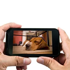 EYENIMAL PET VISION LIVE FULL HD kamera, apie L 13 x B 13 x H 12 cm — 2 nuotrauka
