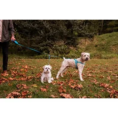 Automatinis pavadėlis Wigzi Dual Doggie Retractable Coupler — 3 nuotrauka