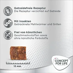 Concept for Life Insect Snack skanėstai šunims — 4 nuotrauka