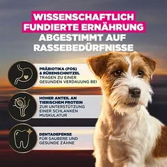 Eukanuba Adult Breed Care Jack Russell Terrier, sausas maistas šunims, 3 - 4,9 kg — 3 nuotrauka
