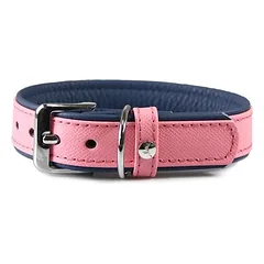 Das Lederband Hundehalsband Firenze candy/saphire