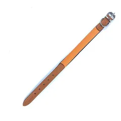 Šunų antkaklis, M dydis, 46 cm, oranžinis — 2 nuotrauka