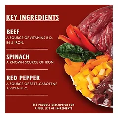 Lily's Kitchen Gulasch