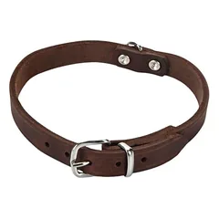 Beeztees Hundehalsband Leder braun