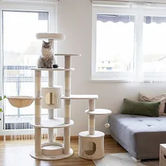Kerbl Pet draskyklė katėms Annika, smėlio spalvos, Dideliems > 5 kg — 5 nuotrauka