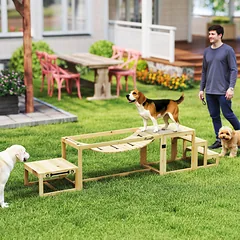 Agility rinkinys 3 vnt. — 2 nuotrauka