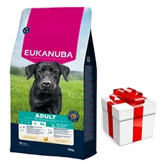 EUKANUBA Adult Large Breed Chicken 15kg + Staigmena ŠUNIUI